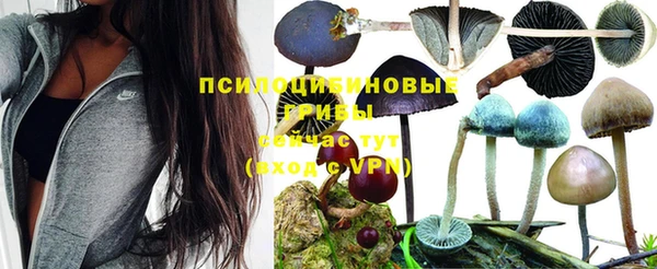 кокс Алексеевка