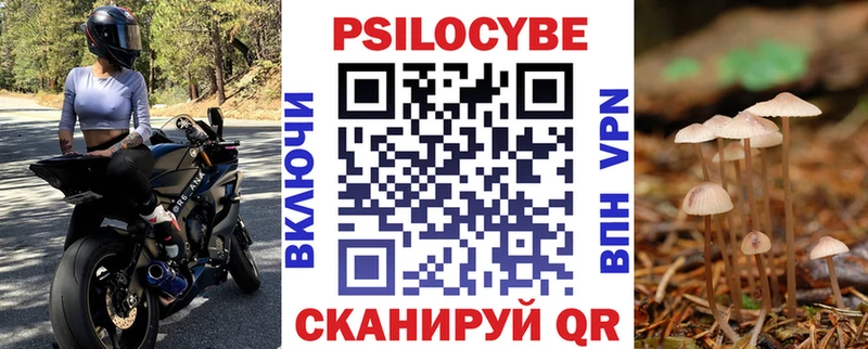 Псилоцибиновые грибы Cubensis  Канаш 
